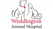 Weddington Animal Hospital Pa