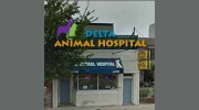 Delta Animal Hospital