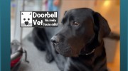 Doorbell Vet