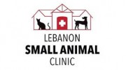 Lebanon Equine Clinic