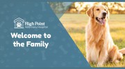 High Point Veterinary Hospital