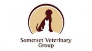 Somerset Veterinary Group